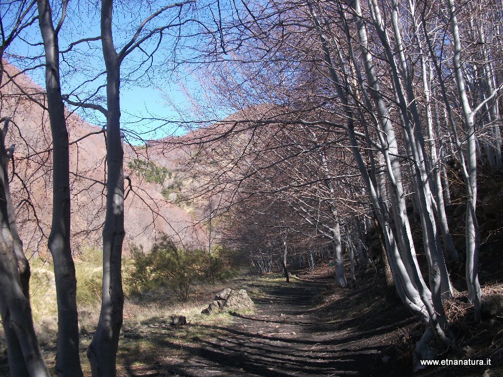 Acqua_Rocca - 20100328 009.jpg